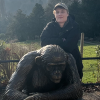 Looking for a roommate in North Portland, NW Portland, SW Portland, NE Portland, SE Portland, East Portland - Portland