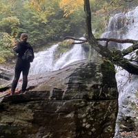 Buscando compañero de cuarto en Central Seattle, North Seattle, SE Seattle, West Seattle, Kitsap County, East Side, South King / Puget Sound, Snohomish County - Seattle