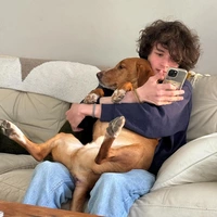 Buscando compañero de cuarto en Chapel Hill - Raleigh