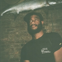 Looking for a roommate in Manhattan, Brooklyn, Queens - New York