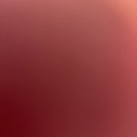 Looking for a roommate in Suburbs - Minneapolis