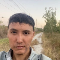 Looking for a roommate in North Tampa, East Tampa - Tampa