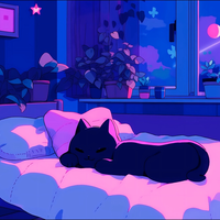 Buscando compañero de cuarto en Downtown TO, York Region, East TO, West TO, Midtown TO - Toronto