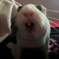 Buscando compañero de cuarto en Ventura - Los Angeles