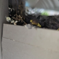 Buscando compañero de cuarto en Outer Philadelphia - Philadelphia