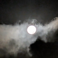 Looking for a roommate in The Harbor - Los Angeles