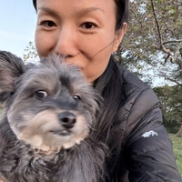 Looking for a roommate in Manhattan, Brooklyn - New York