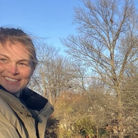 Buscando compañero de cuarto en Manhattan, The Bronx - New York