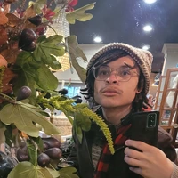 Buscando compañero de cuarto en NE DC, NW DC, SE DC, SW DC, Outer VA, North Maryland, Inner VA, East Maryland - Washington DC