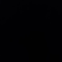 Looking for a roommate in Central, West Side, Far North Side, Far Southwest Side, North Side, South Side, Southwest Side - Chicago