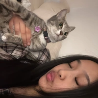 Looking for a roommate in Manhattan, Queens - New York