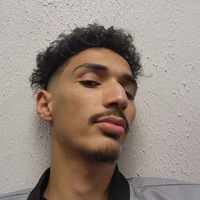 Buscando compañero de cuarto en Ne Dallas, Sw Dallas - Dallas