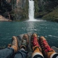 Looking for a roommate in North Portland, NW Portland, SW Portland, NE Portland, SE Portland, East Portland, Outer Portland - Portland