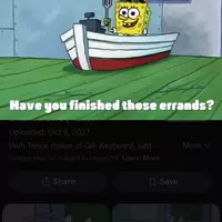 Looking for a roommate in Central Orlando, South Orlando, North Orlando, East Orlando, Outer Orlando, West Orlando - Orlando