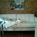 Room for rent in Wrigleyville #1