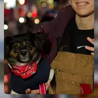 Looking for a roommate in Manhattan, Brooklyn, Queens, Staten Island, The Bronx, Jersey City / Hoboken - New York