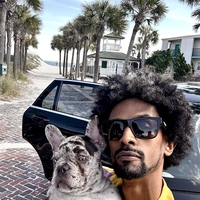 Looking for a roommate in San Francisco, Peninsula - San Francisco