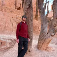 Looking for a roommate in City Centre - Calgary