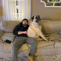 Looking for a roommate in Brooklyn, Queens - New York