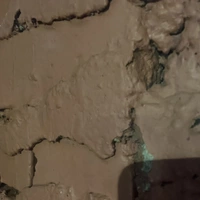 Looking for a roommate in Ne Dallas, Sw Dallas, Forth Worth, Arlington - Dallas