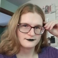 Looking for a roommate in Central, West Side, Far North Side, North Side, South Side - Chicago