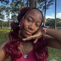 Looking for a roommate in Central Raleigh - Raleigh