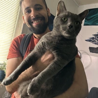 Looking for a roommate in Las Vegas, Summerlin, North Las Vegas, Spring Valley / Enterprise - Las Vegas