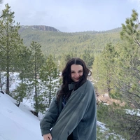 Looking for a roommate in North Portland, NW Portland, SW Portland, NE Portland, SE Portland, East Portland, Outer Portland - Portland