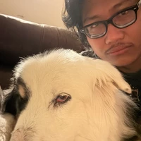 Looking for a roommate in Central Los Angeles, Westside / South Bay, The Harbor, Southeast - Los Angeles