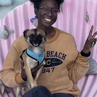 Looking for a roommate in Broward County, Palm Beach County - Miami