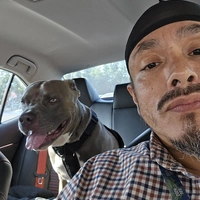 Looking for a roommate in SW DC, Outer VA, Inner VA - Washington DC