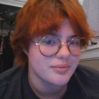 Looking for a roommate in Outer Portland - Portland