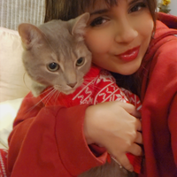 Looking for a roommate in York Region, Mississauga, Southern Ontario, Etobicoke, West TO - Toronto