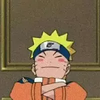 Looking for a roommate in Central Ottawa, East Ottawa, West Ottawa, South Ottawa - Ottawa