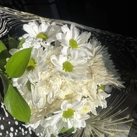 Looking for a roommate in North Atl - Atlanta