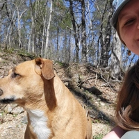 Looking for a roommate in KCMO, KCK, Outer KCMO, Outer KCK - Kansas City