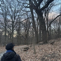 Looking for a roommate in Manhattan, Brooklyn, Queens, Jersey City / Hoboken - New York