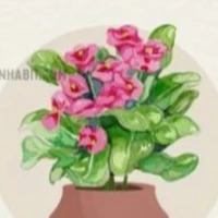 Looking for a roommate in Central Tampa, North Tampa, West Tampa, East Tampa - Tampa