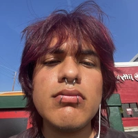 Looking for a roommate in Central Los Angeles, Westside / South Bay - Los Angeles