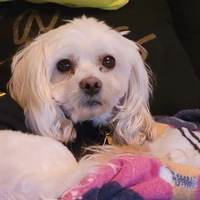 Room for rent in Midtown Sacramento - Central SAC, Sacramento