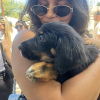 Looking for a roommate in South Bay - San Francisco