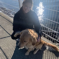 Looking for a roommate in Central Seattle, North Seattle, SE Seattle - Seattle