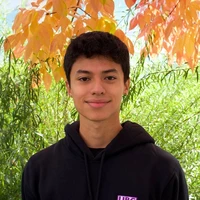 Looking for a roommate in Westside / South Bay - Los Angeles