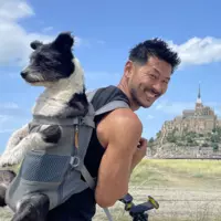 Looking for a roommate in Central SD, Coastal, Inland, North SD - San Diego