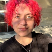 Room for rent in Williamsburg - South Orlando, Orlando