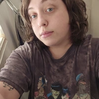 Looking for a roommate in Chicago Burbs - Chicago