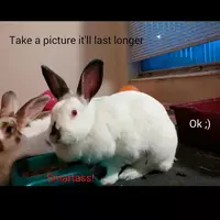 Cuarto en Renta en Marietta - North Atl, Atlanta