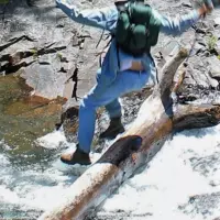 Looking for a roommate in KCMO - Kansas City