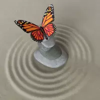 Room for rent in Crown Heights - Brooklyn, New York