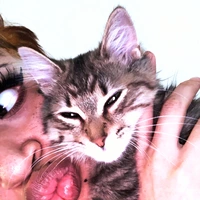 Looking for a roommate in Queens, Staten Island - New York